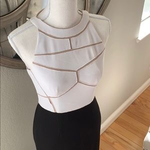 Caché Mermaid Style Evening Gown Size 2